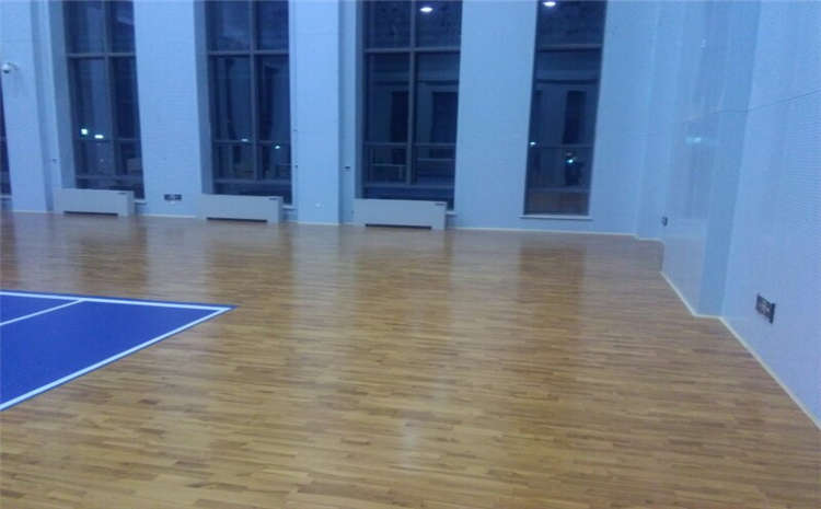 我想開個室內籃球館怎么樣