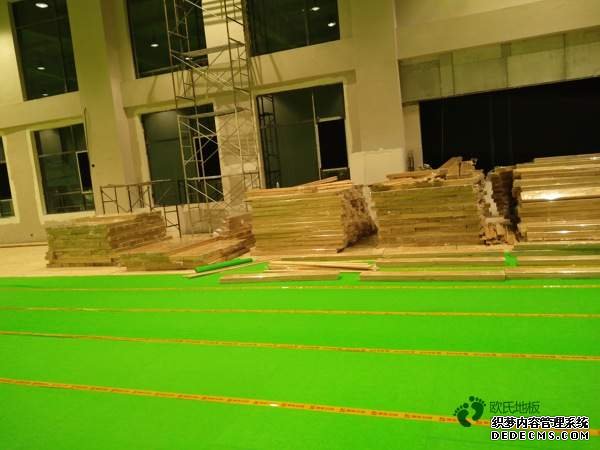 大型籃球地板大全